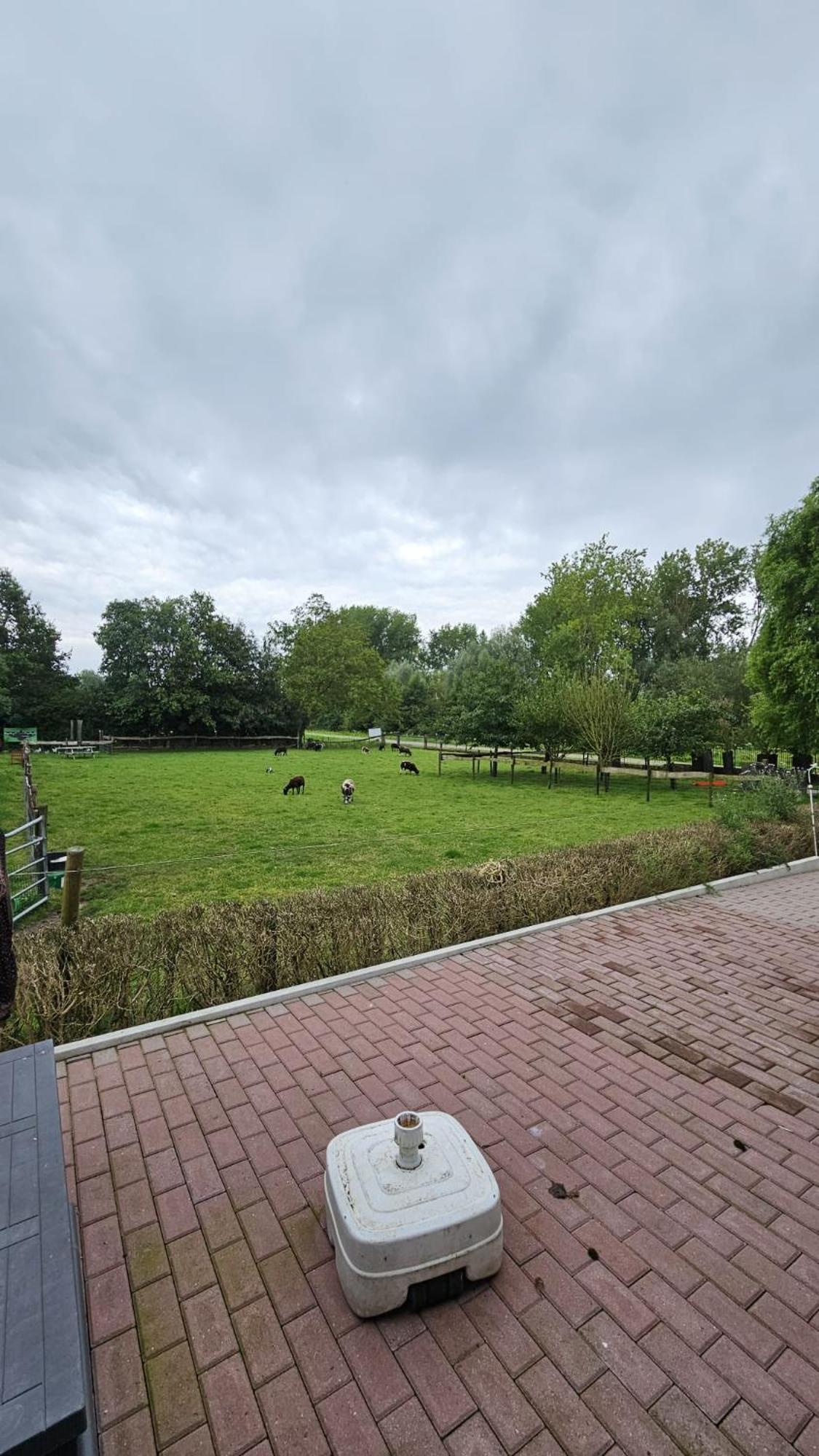 Landelijke Huis In De Betuwe Tricht Buitenkant foto